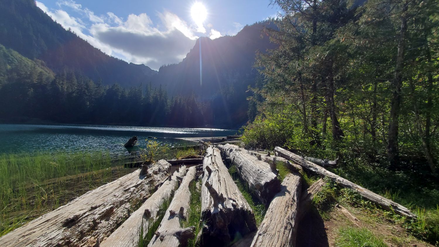 Mount Rainier NP 